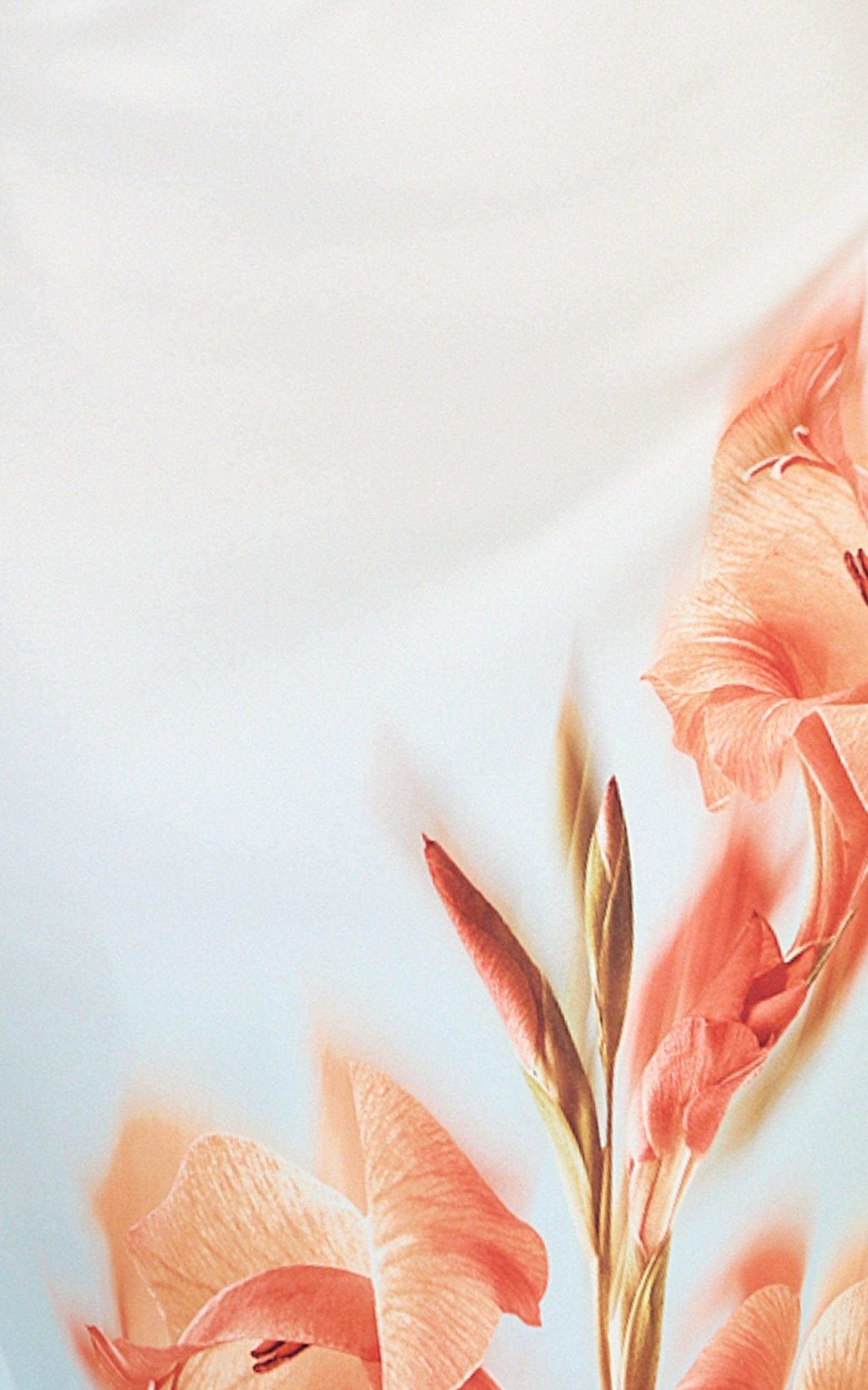 Soleil Midi Elbise - Turuncu Ombre Çiçek Desenli Verev Kesim Boyundan Bağlamalı Elbise