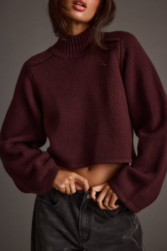 Arden Erik Rengi Crop Kazak